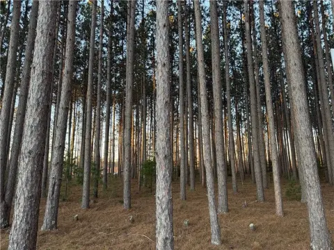 Lot 2 CSM 6341 Jenny Lane, Hayward — property photo 1