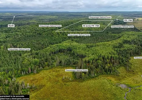 40 acres on FR 1769, Cable — property photo 1