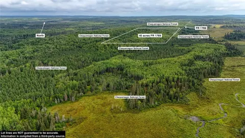 40 acres on FR 1769, Cable — property photo 1
