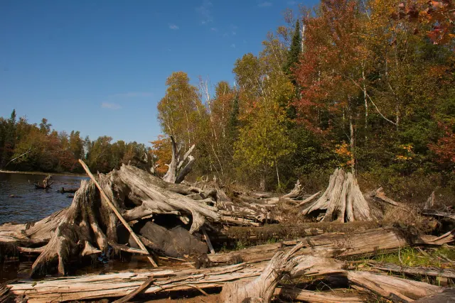 Moose Lake campground shoreline in autumn, Sawyer County